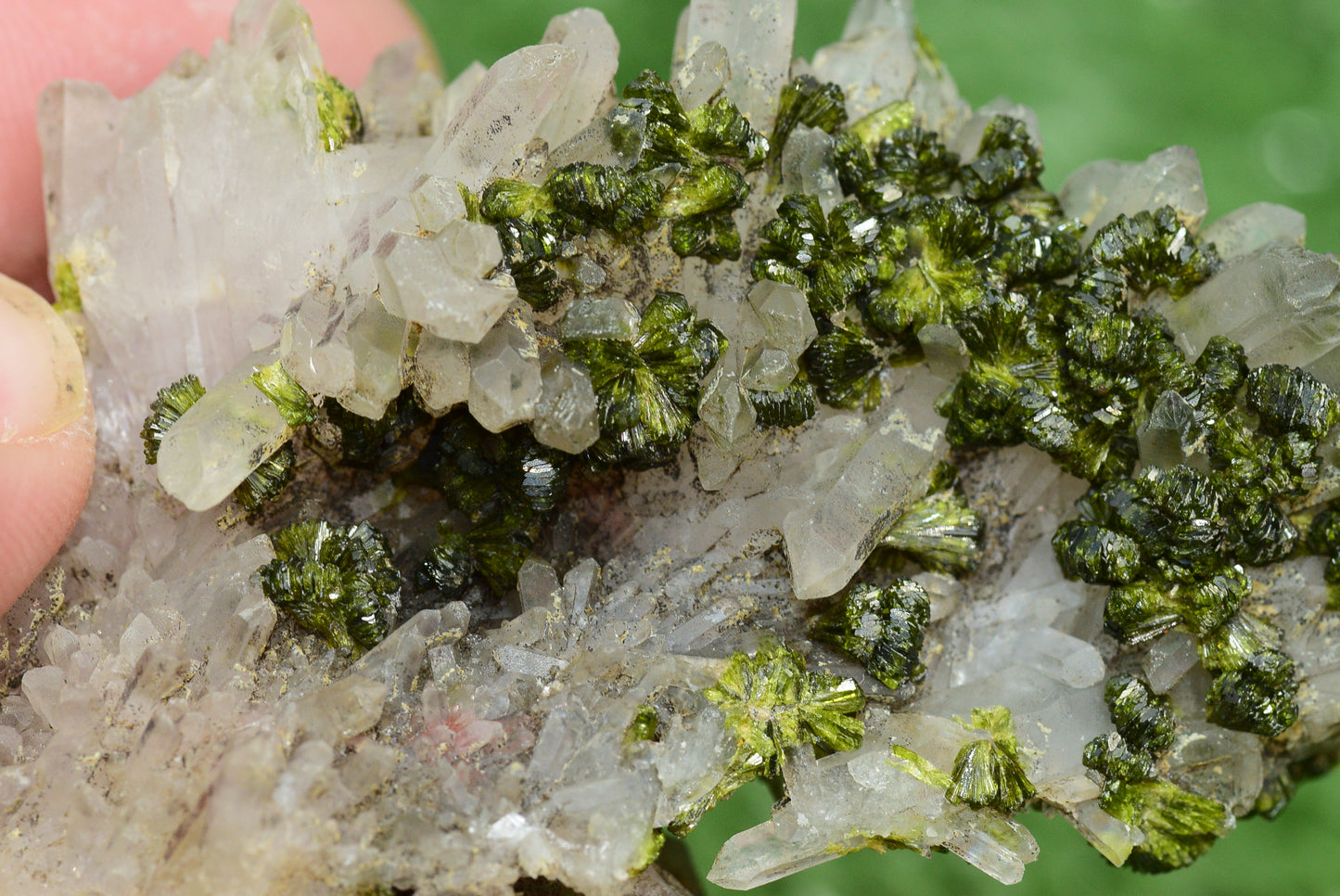 Stunning Epidote in Quartz Cluster from Imilchil, Morocco - A Unique Piece - MeteoriteNwa.com