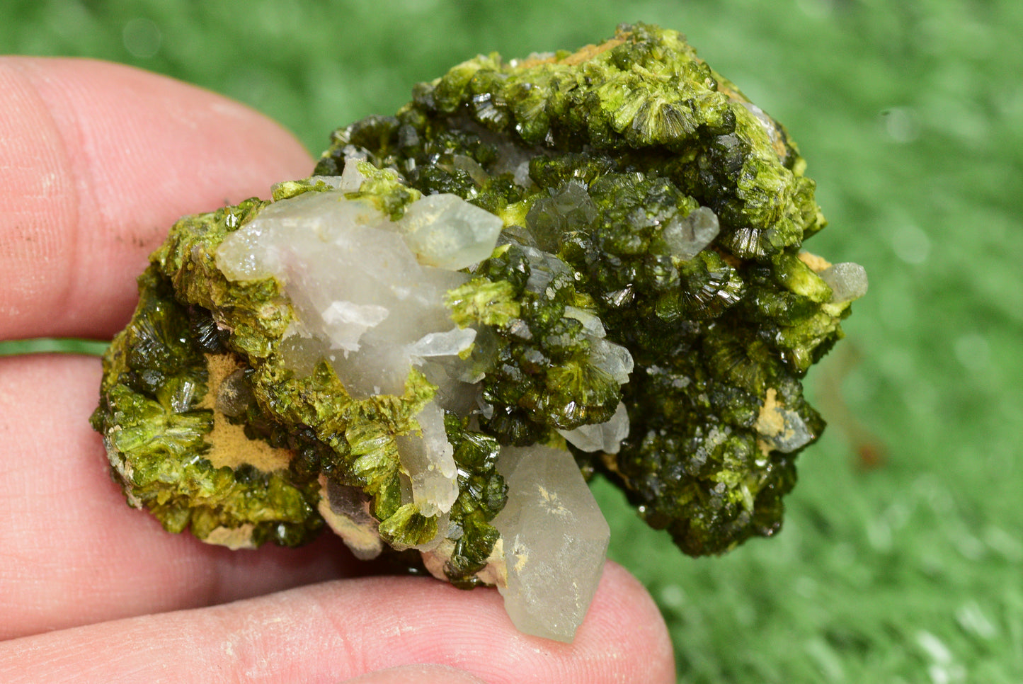 Stunning Epidote in Quartz Cluster from Imilchil, Morocco - A Unique Piece - MeteoriteNwa.com