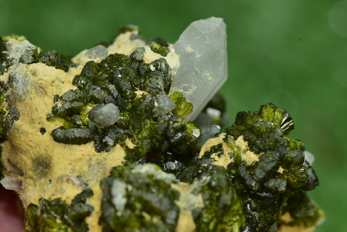 Stunning Epidote in Quartz Cluster from Imilchil, Morocco - A Unique Piece - MeteoriteNwa.com