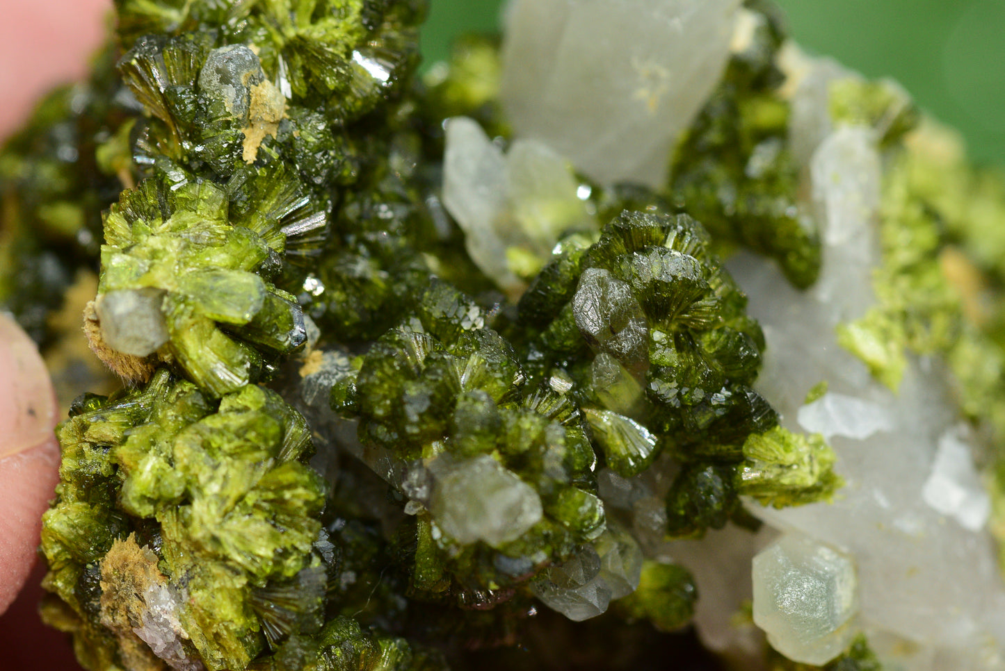 Stunning Epidote in Quartz Cluster from Imilchil, Morocco - A Unique Piece - MeteoriteNwa.com