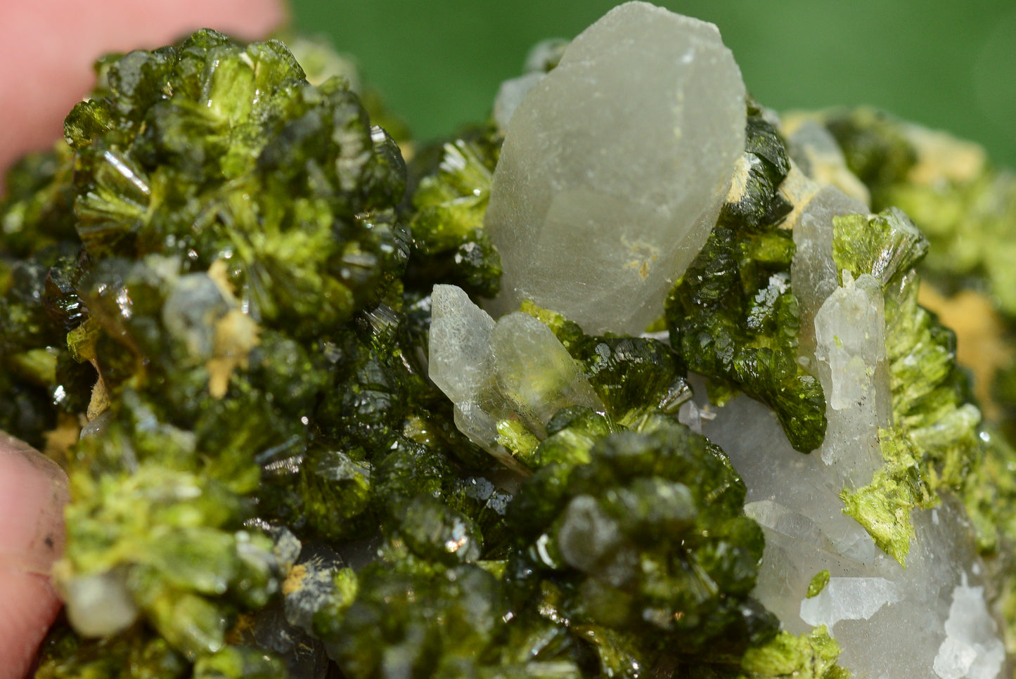 Stunning Epidote in Quartz Cluster from Imilchil, Morocco - A Unique Piece - MeteoriteNwa.com