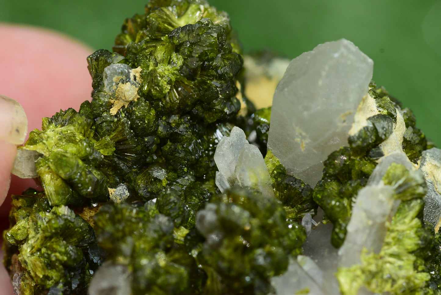 Stunning Epidote in Quartz Cluster from Imilchil, Morocco - A Unique Piece - MeteoriteNwa.com
