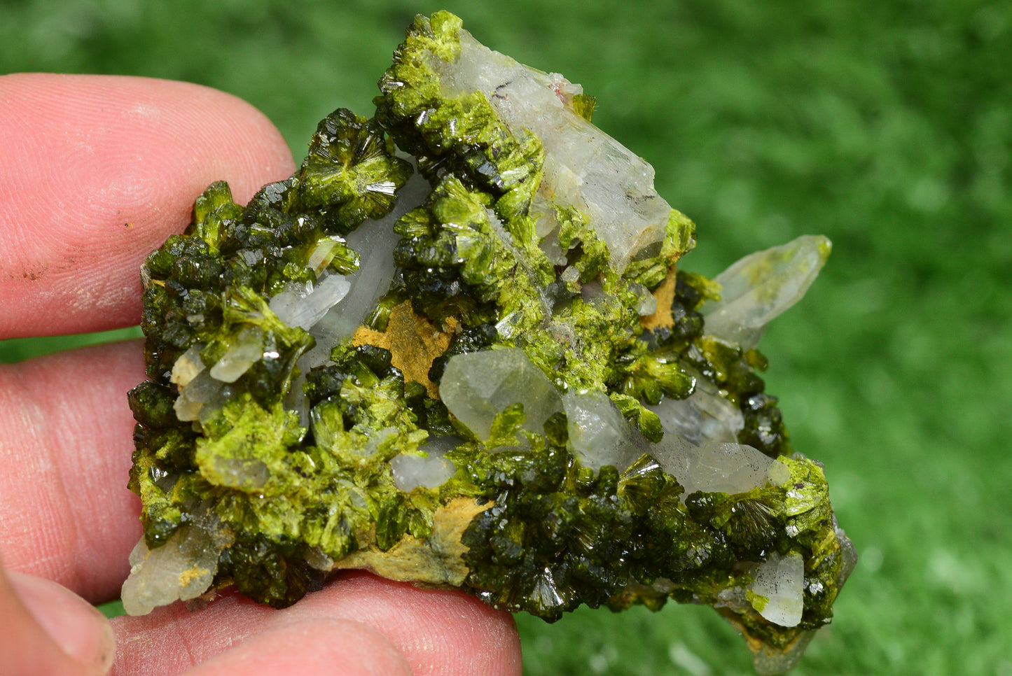 Stunning Epidote in Quartz Cluster from Imilchil, Morocco - A Unique Piece - MeteoriteNwa.com