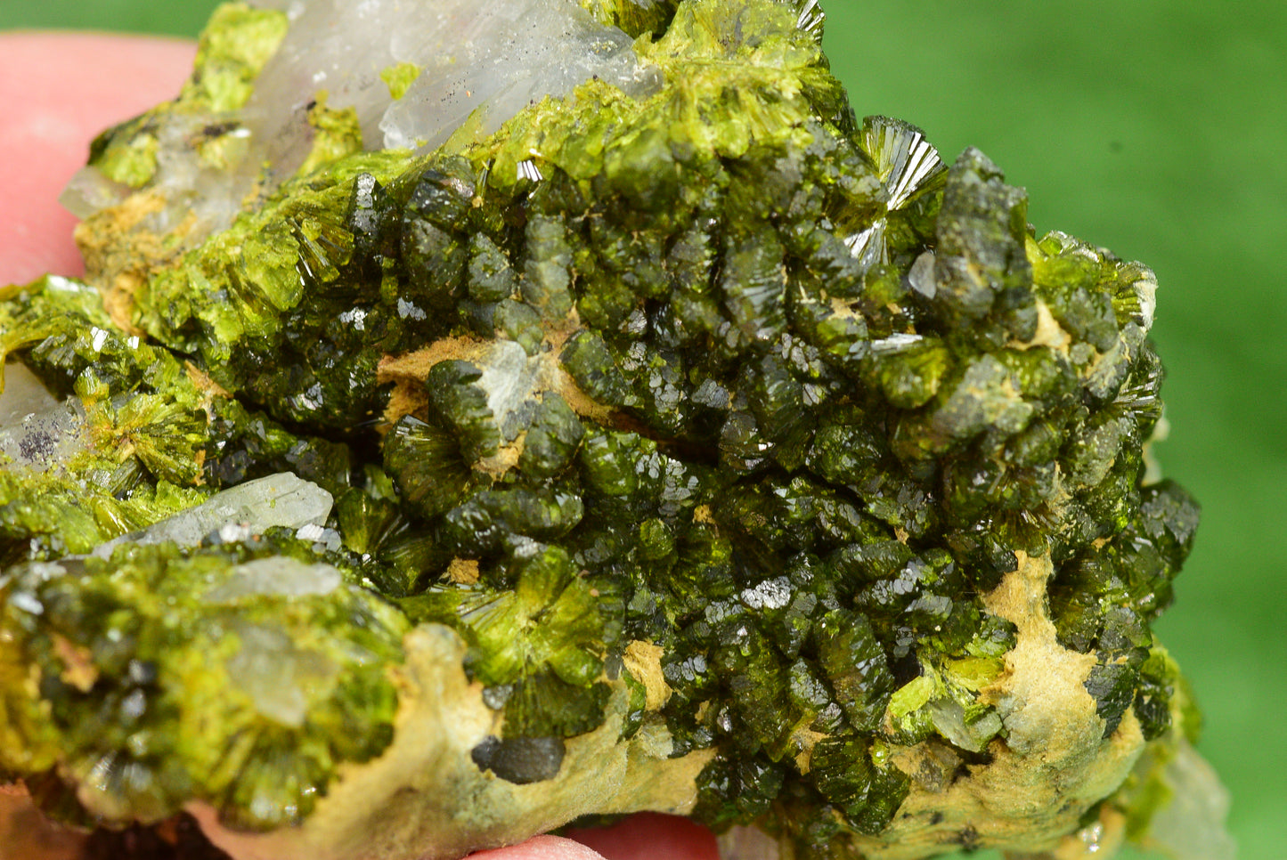 Stunning Epidote in Quartz Cluster from Imilchil, Morocco - A Unique Piece - MeteoriteNwa.com