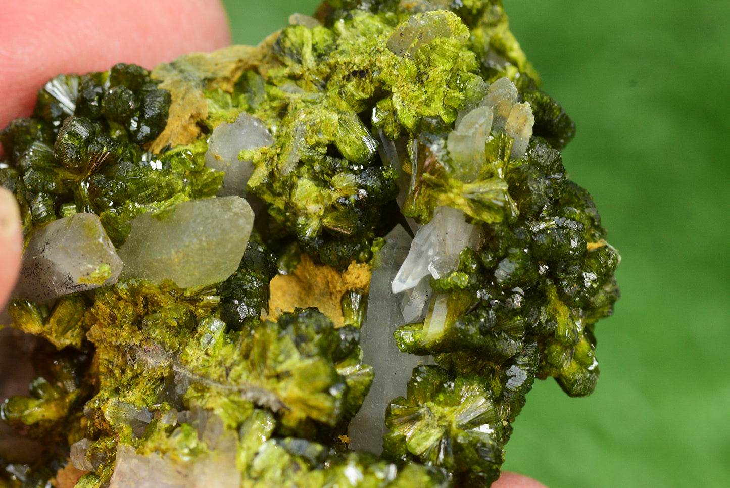 Stunning Epidote in Quartz Cluster from Imilchil, Morocco - A Unique Piece - MeteoriteNwa.com
