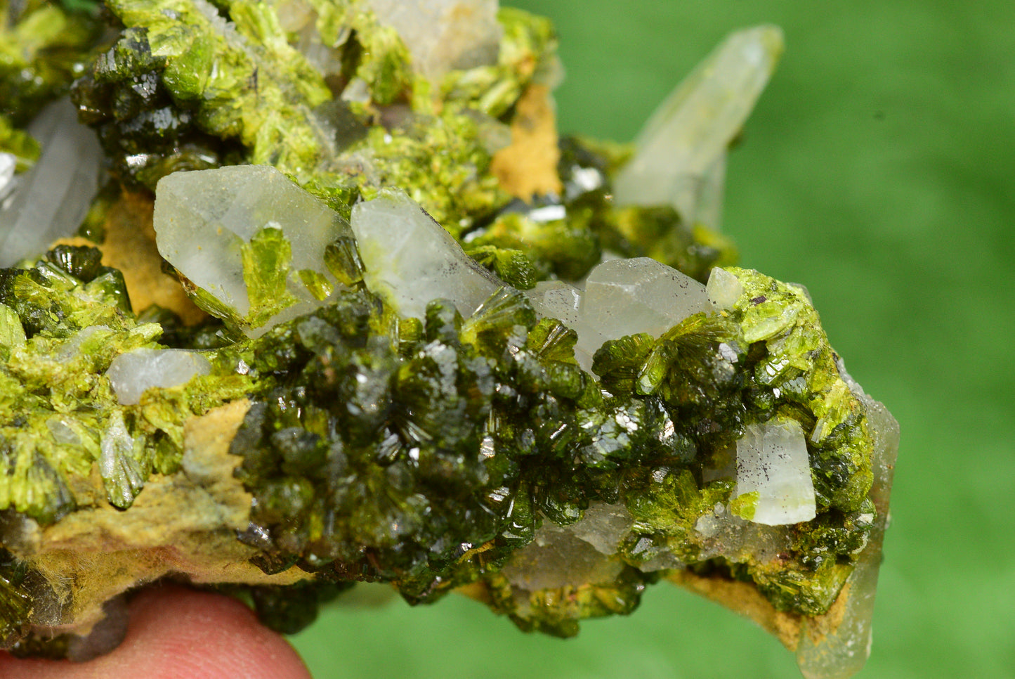 Stunning Epidote in Quartz Cluster from Imilchil, Morocco - A Unique Piece - MeteoriteNwa.com