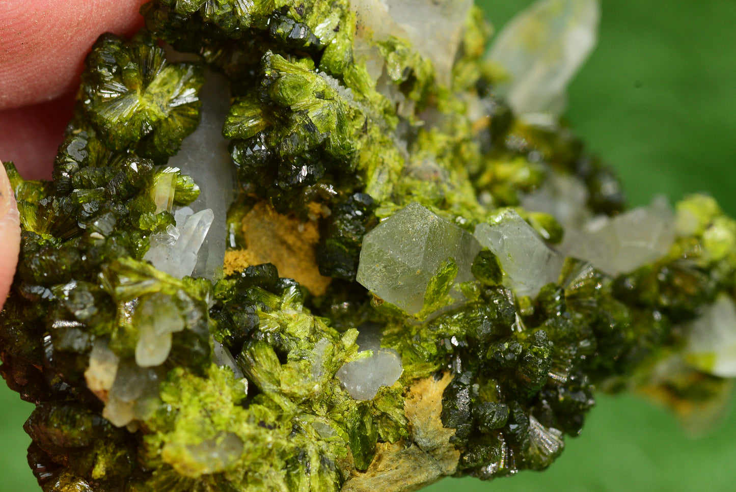 Stunning Epidote in Quartz Cluster from Imilchil, Morocco - A Unique Piece - MeteoriteNwa.com