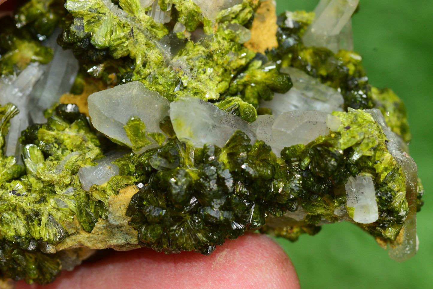 Stunning Epidote in Quartz Cluster from Imilchil, Morocco - A Unique Piece - MeteoriteNwa.com