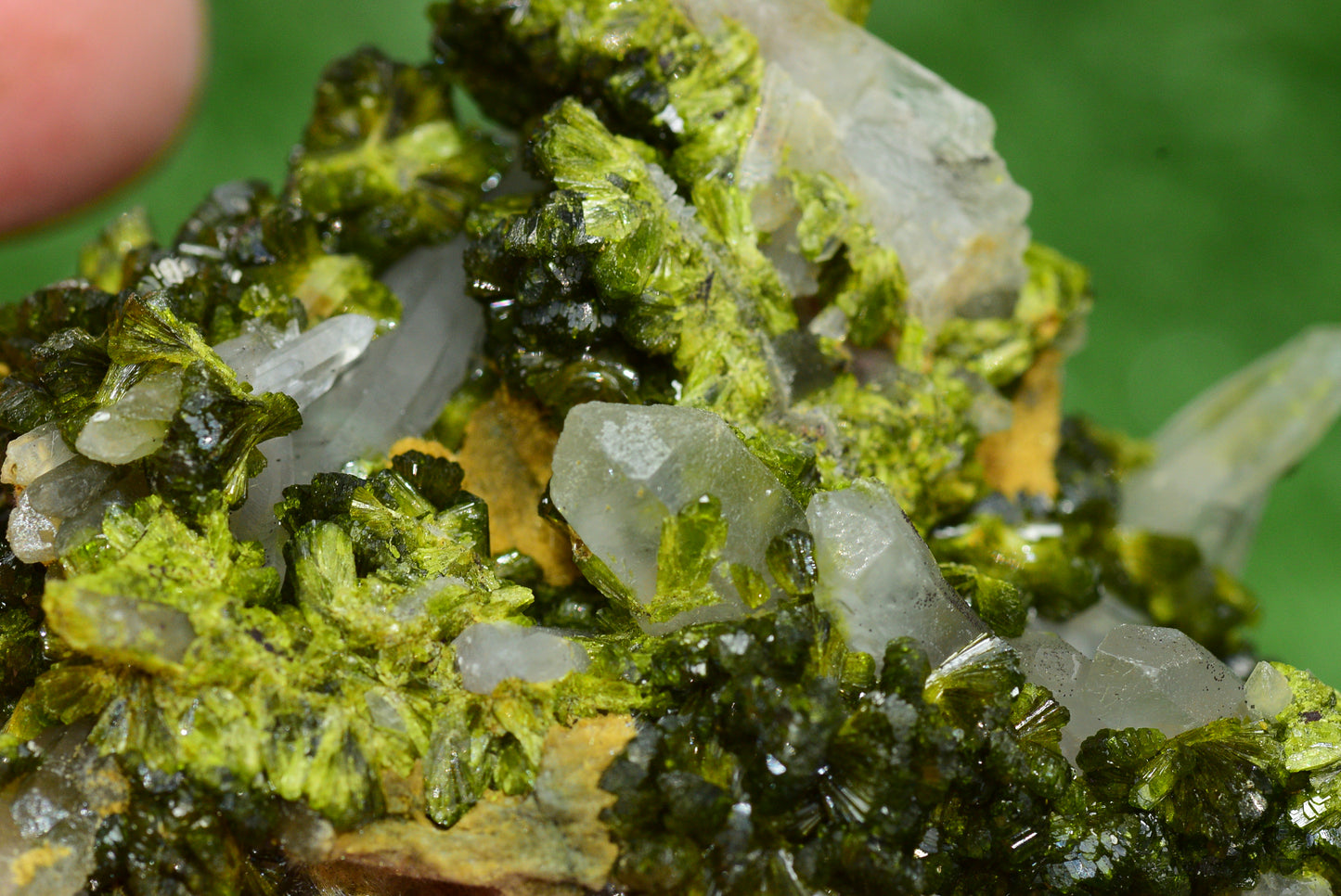 Stunning Epidote in Quartz Cluster from Imilchil, Morocco - A Unique Piece - MeteoriteNwa.com