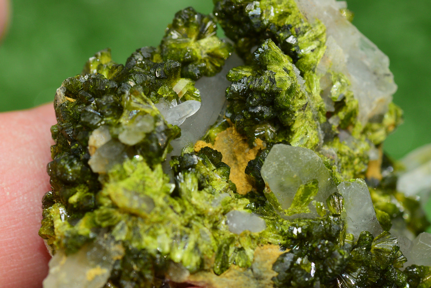 Stunning Epidote in Quartz Cluster from Imilchil, Morocco - A Unique Piece - MeteoriteNwa.com