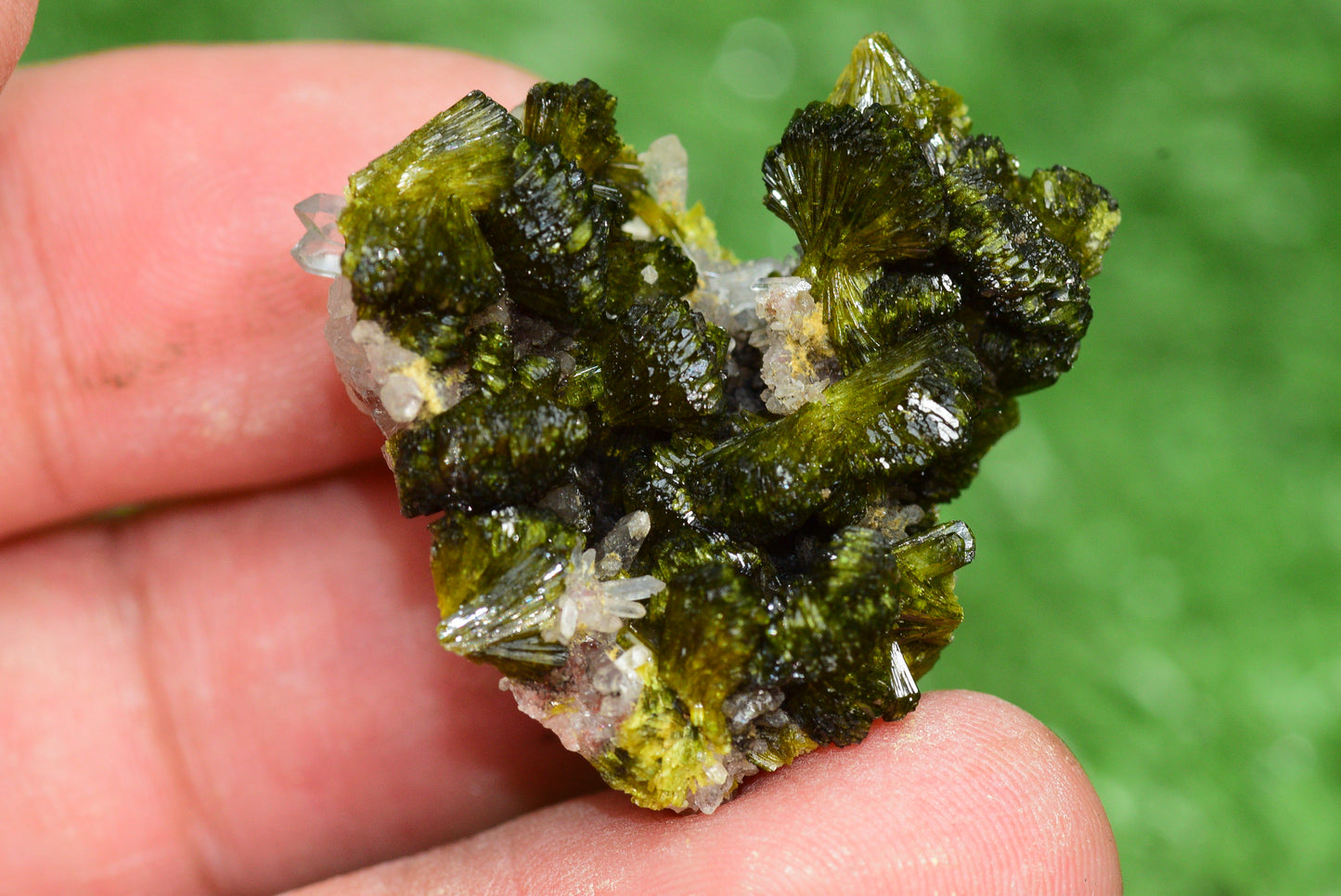 Stunning Epidote in Quartz Cluster from Imilchil, Morocco - A Unique Piece - MeteoriteNwa.com