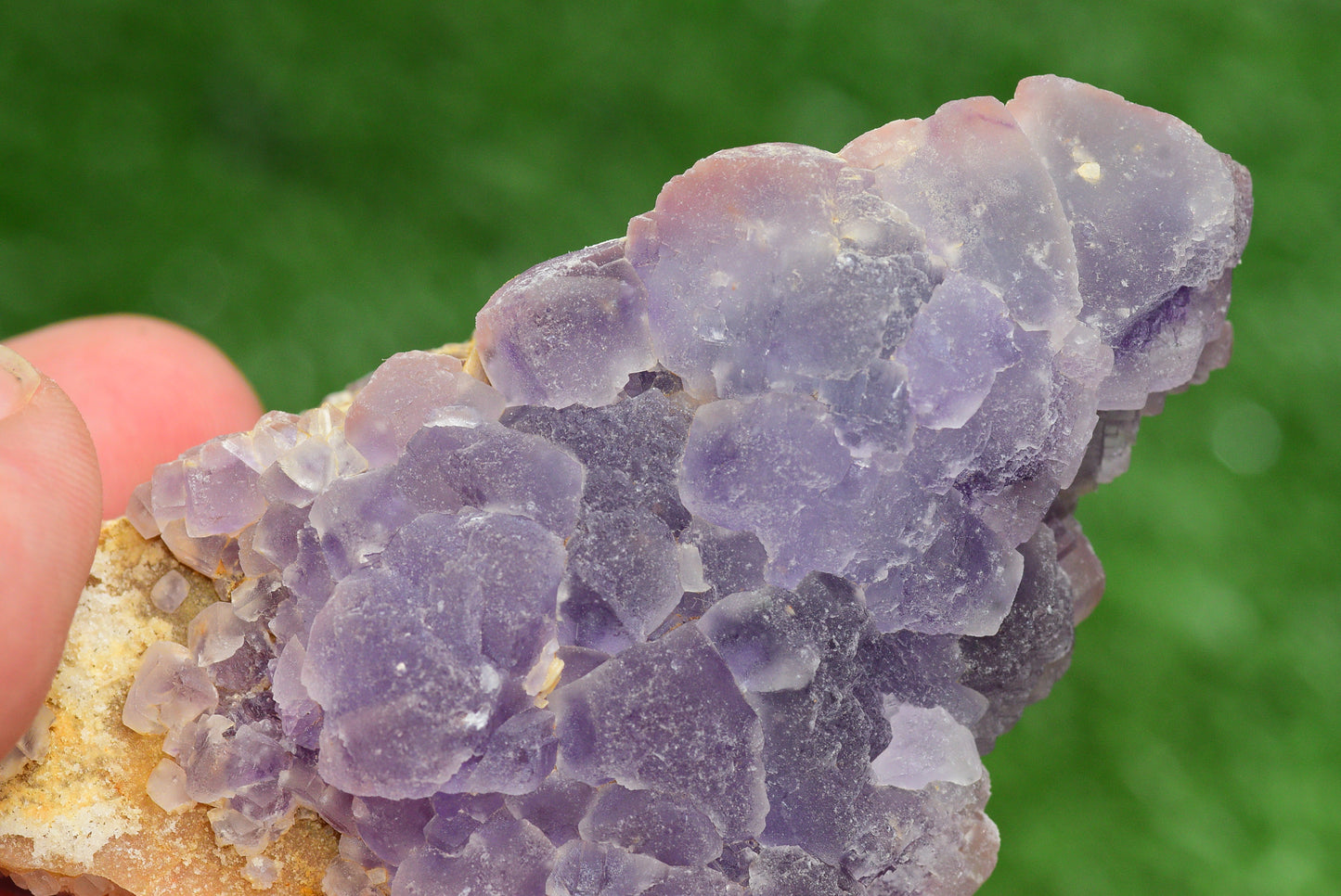 Stunning Fluorite Specimen from El Hammam Mine, Morocco Perfect for Crystal Collectors - MeteoriteNwa.com