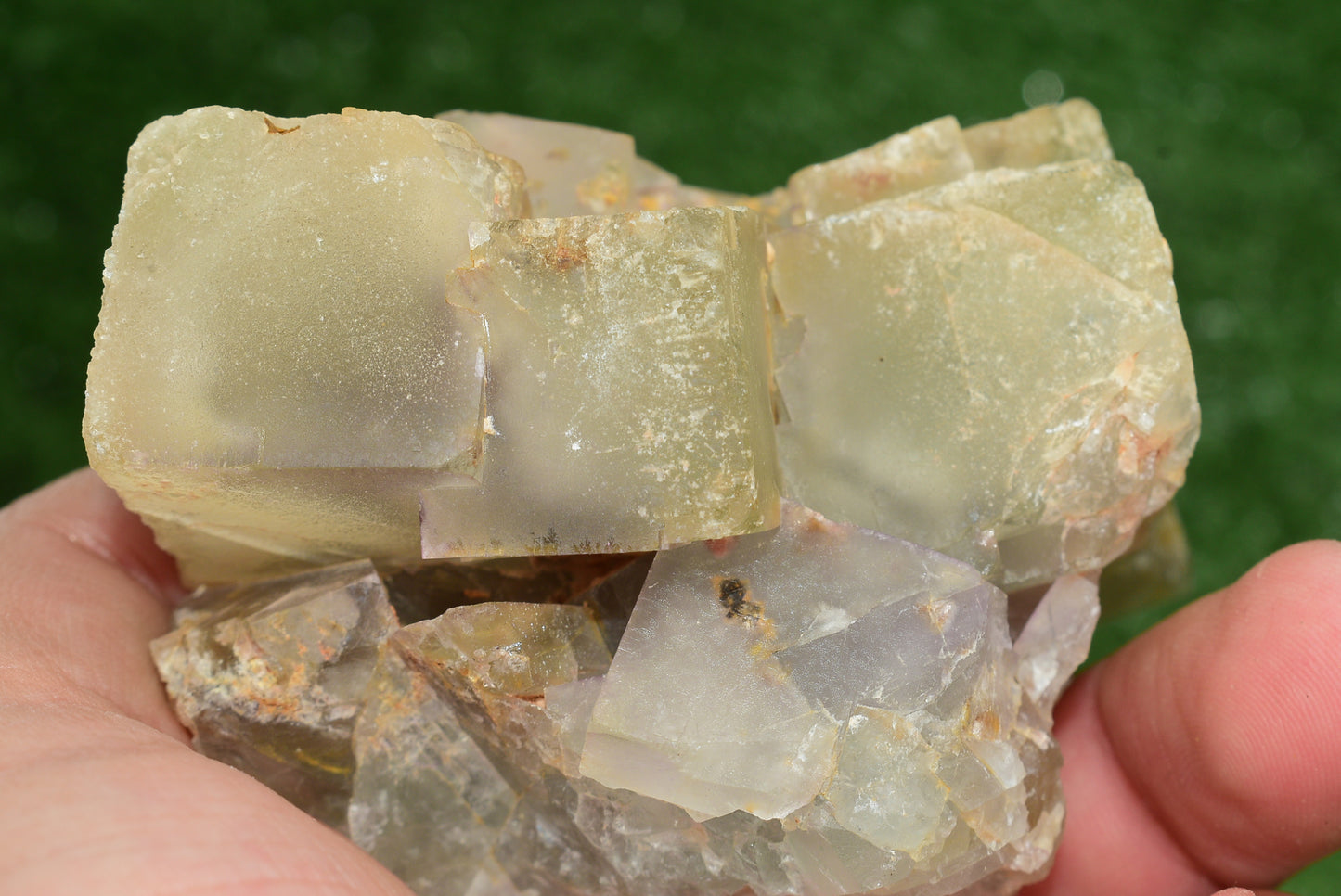 Stunning Fluorite Specimen from El Hammam Mine, Morocco Perfect for Crystal Collectors - MeteoriteNwa.com