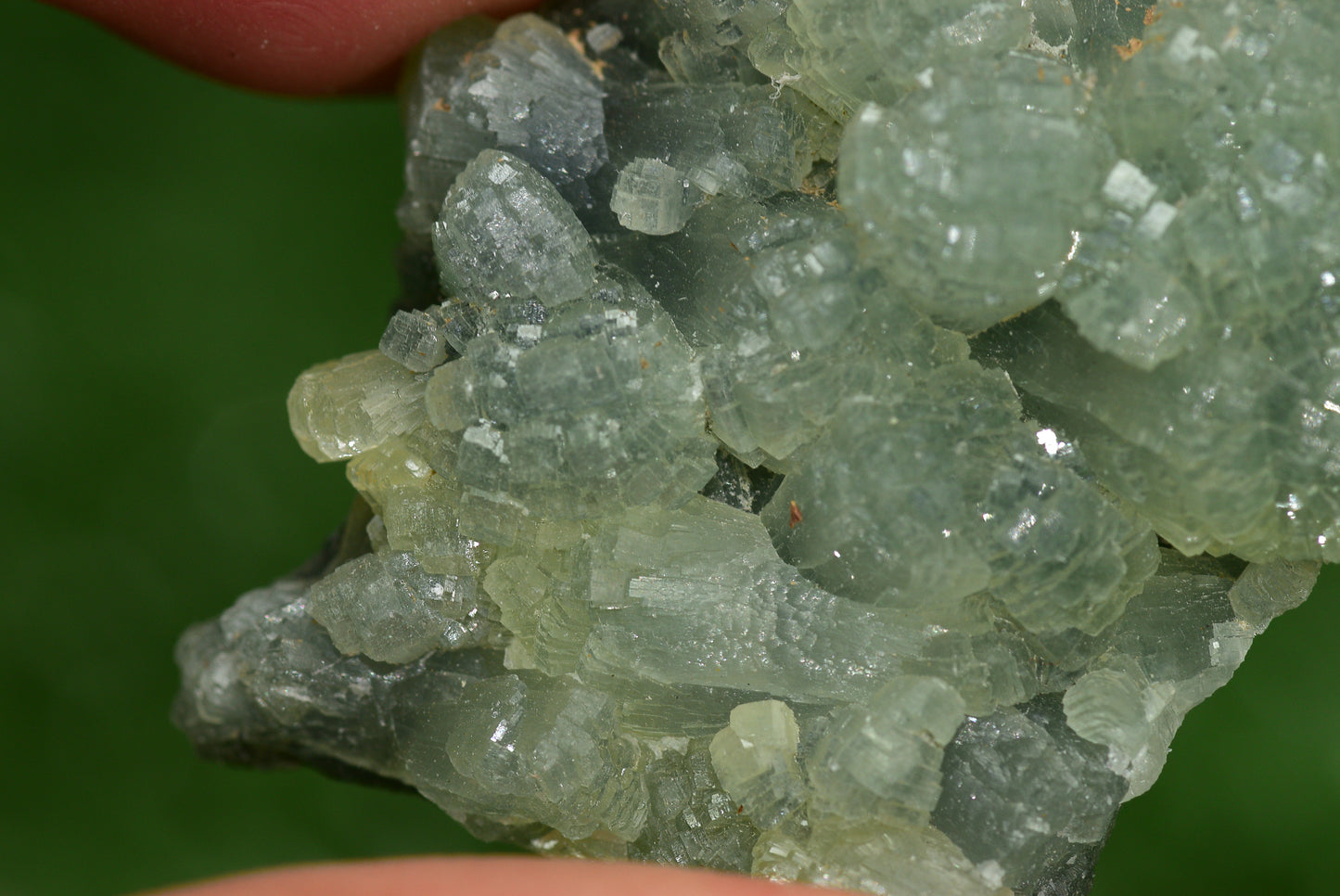 Stunning Raw Prehnite Crystal Cluster from Morocco Unique Botryoidal Formations - MeteoriteNwa.com