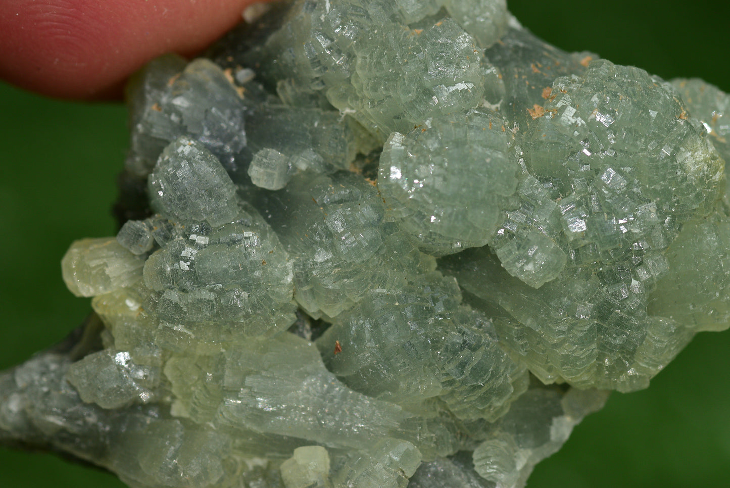 Stunning Raw Prehnite Crystal Cluster from Morocco Unique Botryoidal Formations - MeteoriteNwa.com