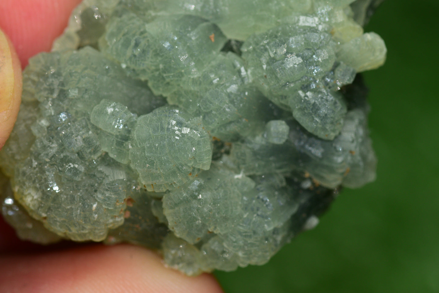 Stunning Raw Prehnite Crystal Cluster from Morocco Unique Botryoidal Formations - MeteoriteNwa.com