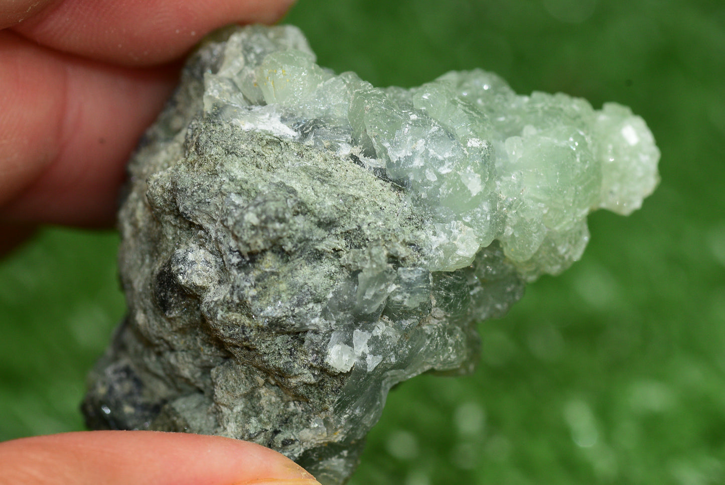 Stunning Raw Prehnite Crystal Cluster from Morocco Unique Botryoidal Formations - MeteoriteNwa.com