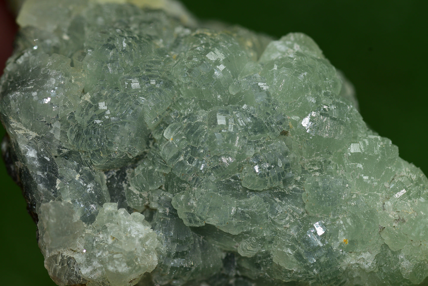 Stunning Raw Prehnite Crystal Cluster from Morocco Unique Botryoidal Formations - MeteoriteNwa.com