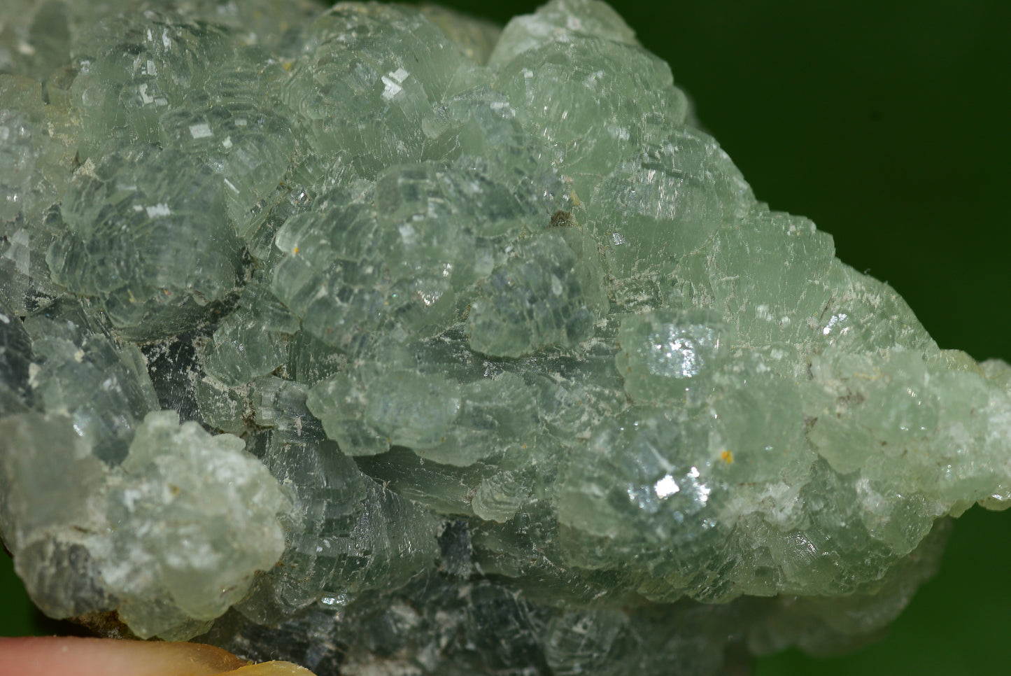 Stunning Raw Prehnite Crystal Cluster from Morocco Unique Botryoidal Formations - MeteoriteNwa.com