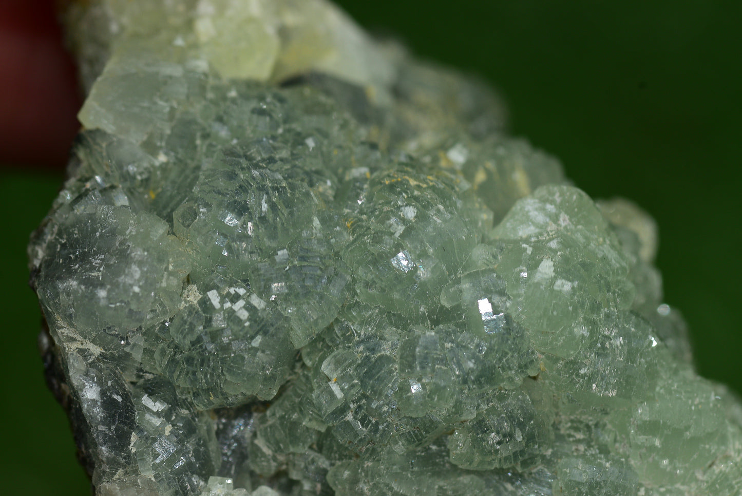 Stunning Raw Prehnite Crystal Cluster from Morocco Unique Botryoidal Formations - MeteoriteNwa.com