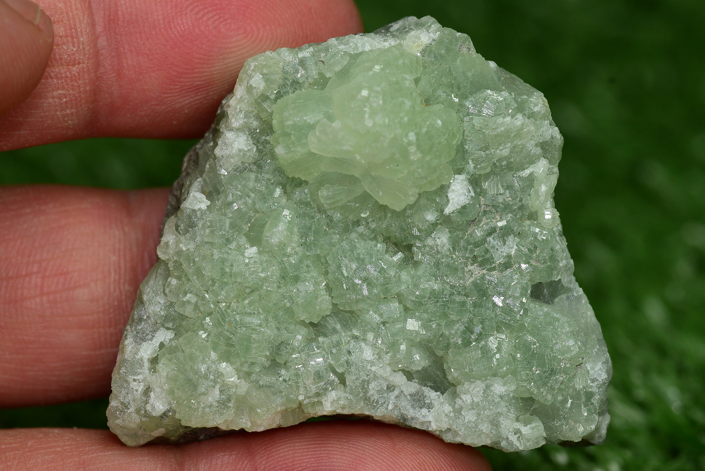Stunning Raw Prehnite Crystal Cluster from Morocco Unique Botryoidal Formations - MeteoriteNwa.com