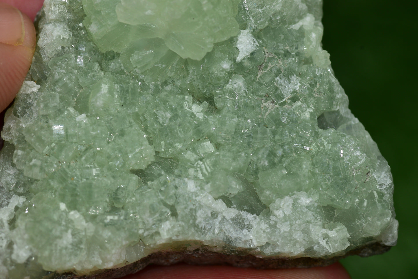 Stunning Raw Prehnite Crystal Cluster from Morocco Unique Botryoidal Formations - MeteoriteNwa.com