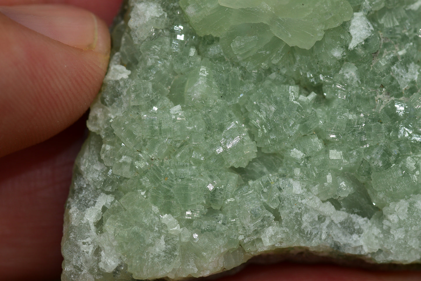 Stunning Raw Prehnite Crystal Cluster from Morocco Unique Botryoidal Formations - MeteoriteNwa.com