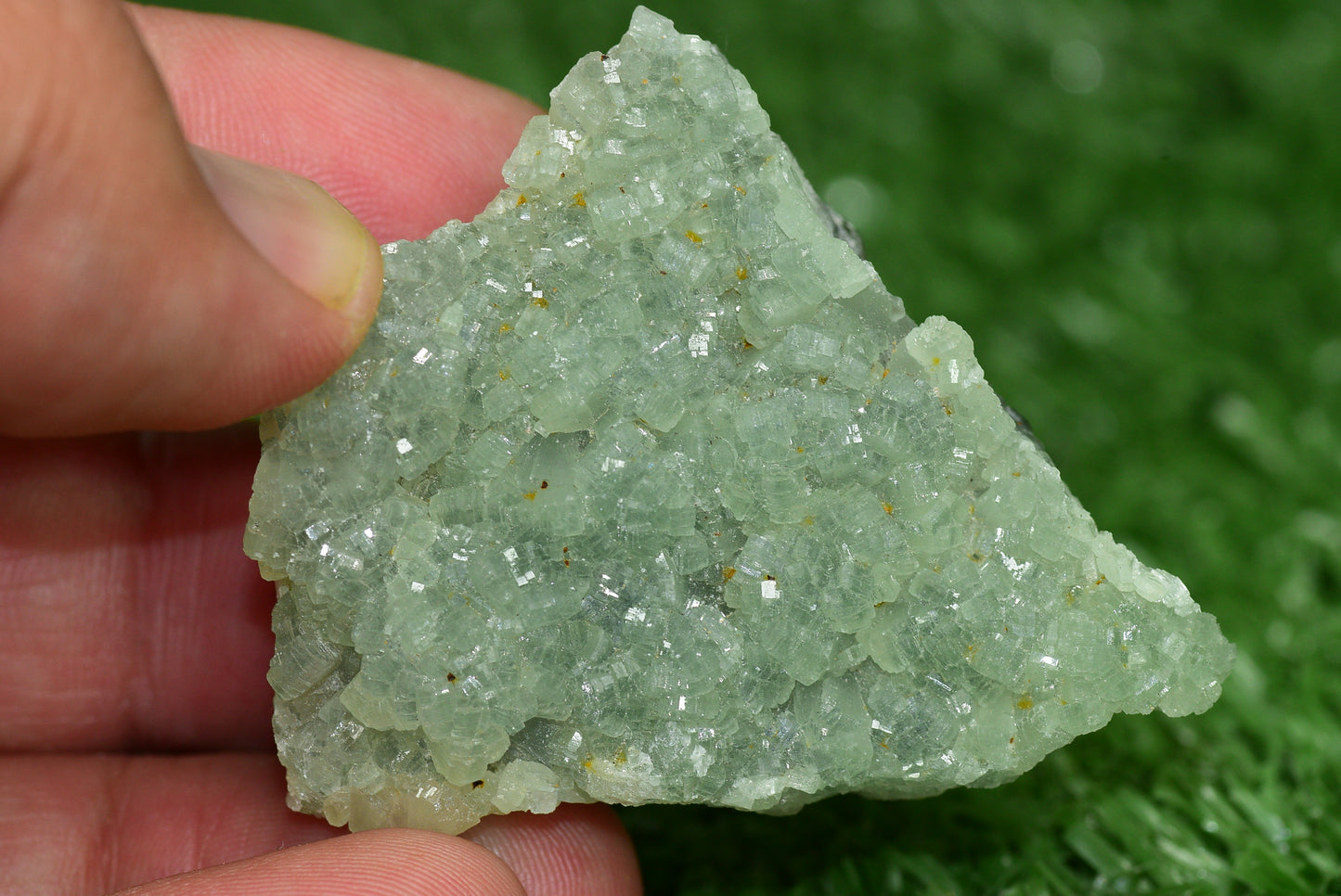 Stunning Raw Prehnite Crystal Cluster from Morocco Unique Botryoidal Formations - MeteoriteNwa.com