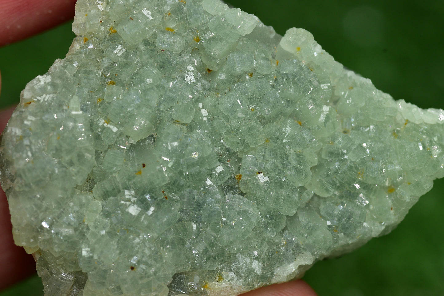 Stunning Raw Prehnite Crystal Cluster from Morocco Unique Botryoidal Formations - MeteoriteNwa.com