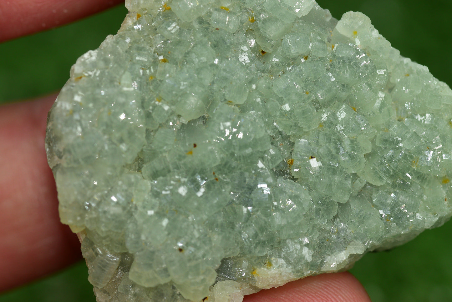 Stunning Raw Prehnite Crystal Cluster from Morocco Unique Botryoidal Formations - MeteoriteNwa.com