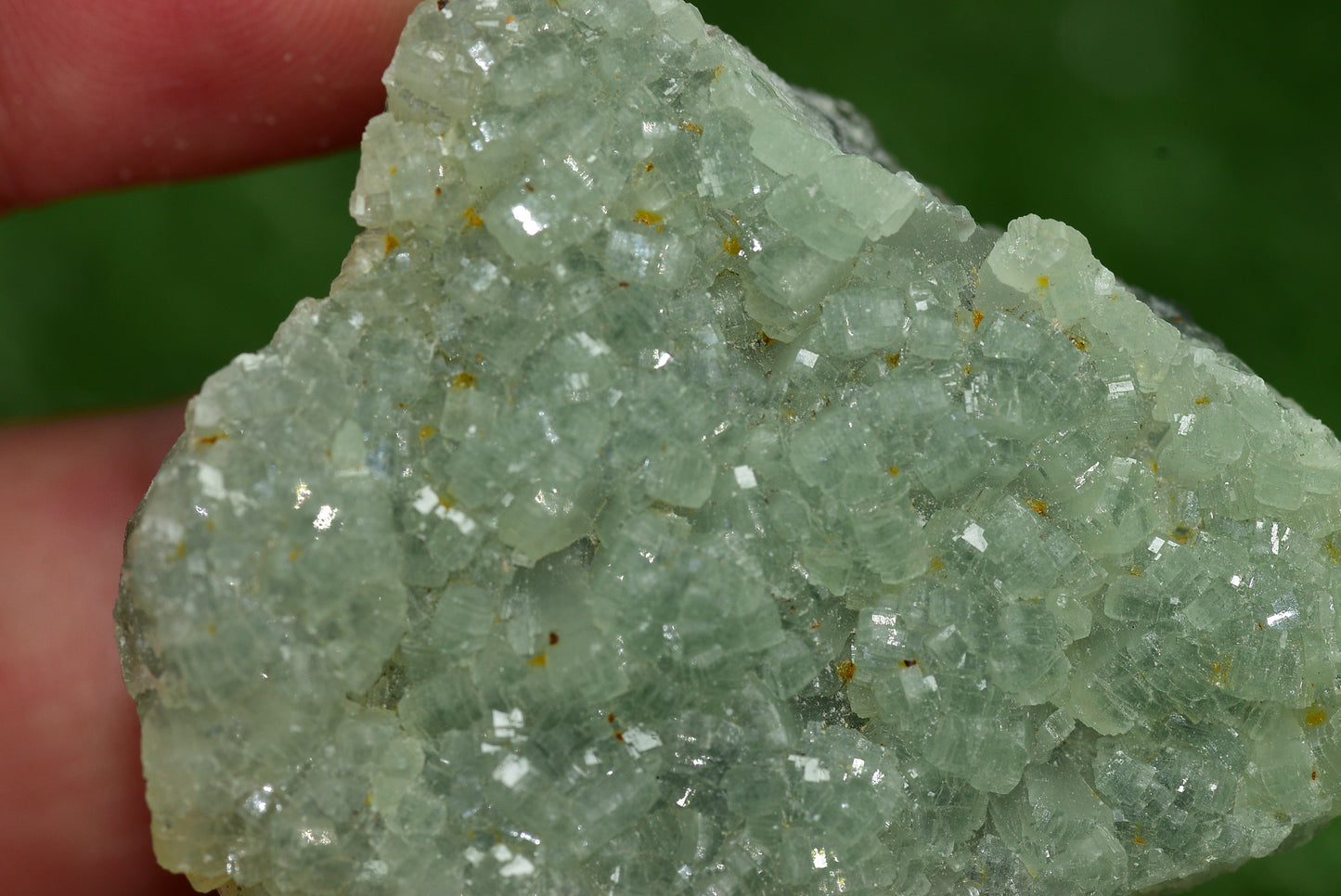Stunning Raw Prehnite Crystal Cluster from Morocco Unique Botryoidal Formations - MeteoriteNwa.com