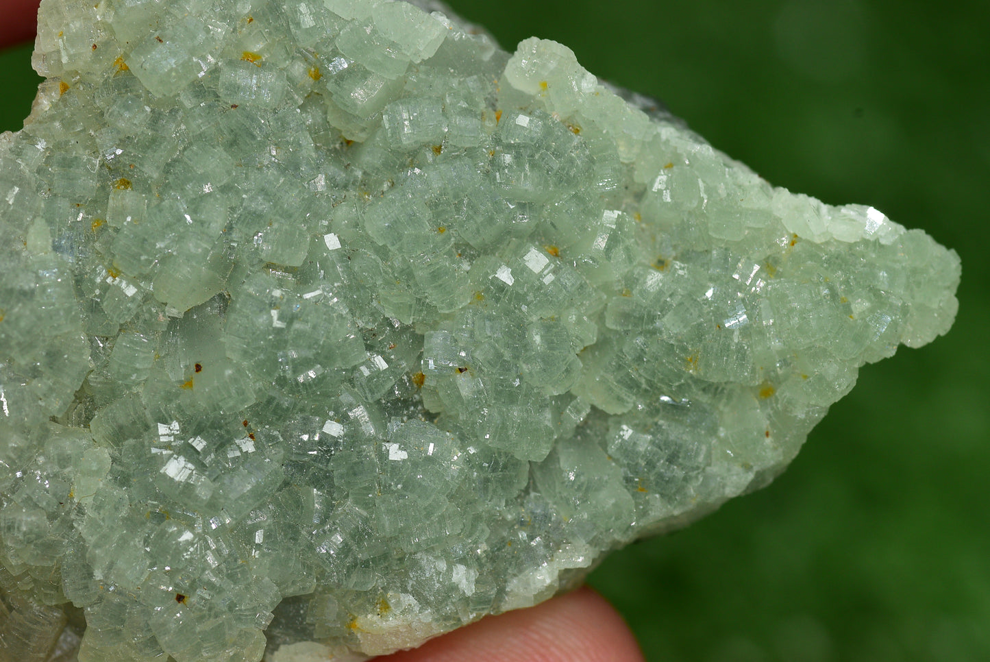 Stunning Raw Prehnite Crystal Cluster from Morocco Unique Botryoidal Formations - MeteoriteNwa.com