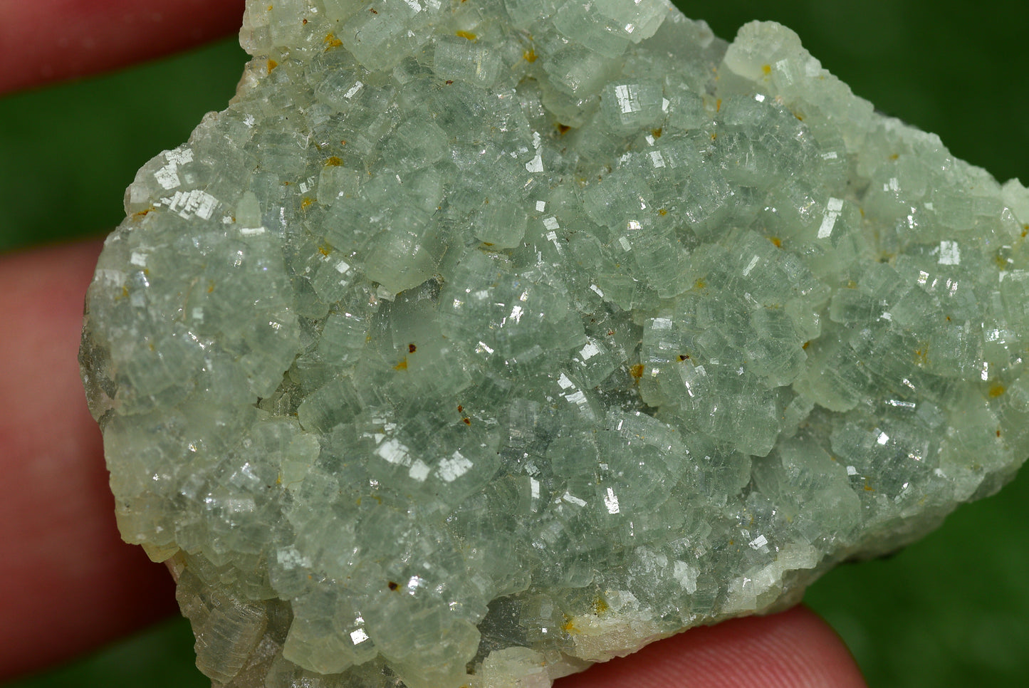 Stunning Raw Prehnite Crystal Cluster from Morocco Unique Botryoidal Formations - MeteoriteNwa.com