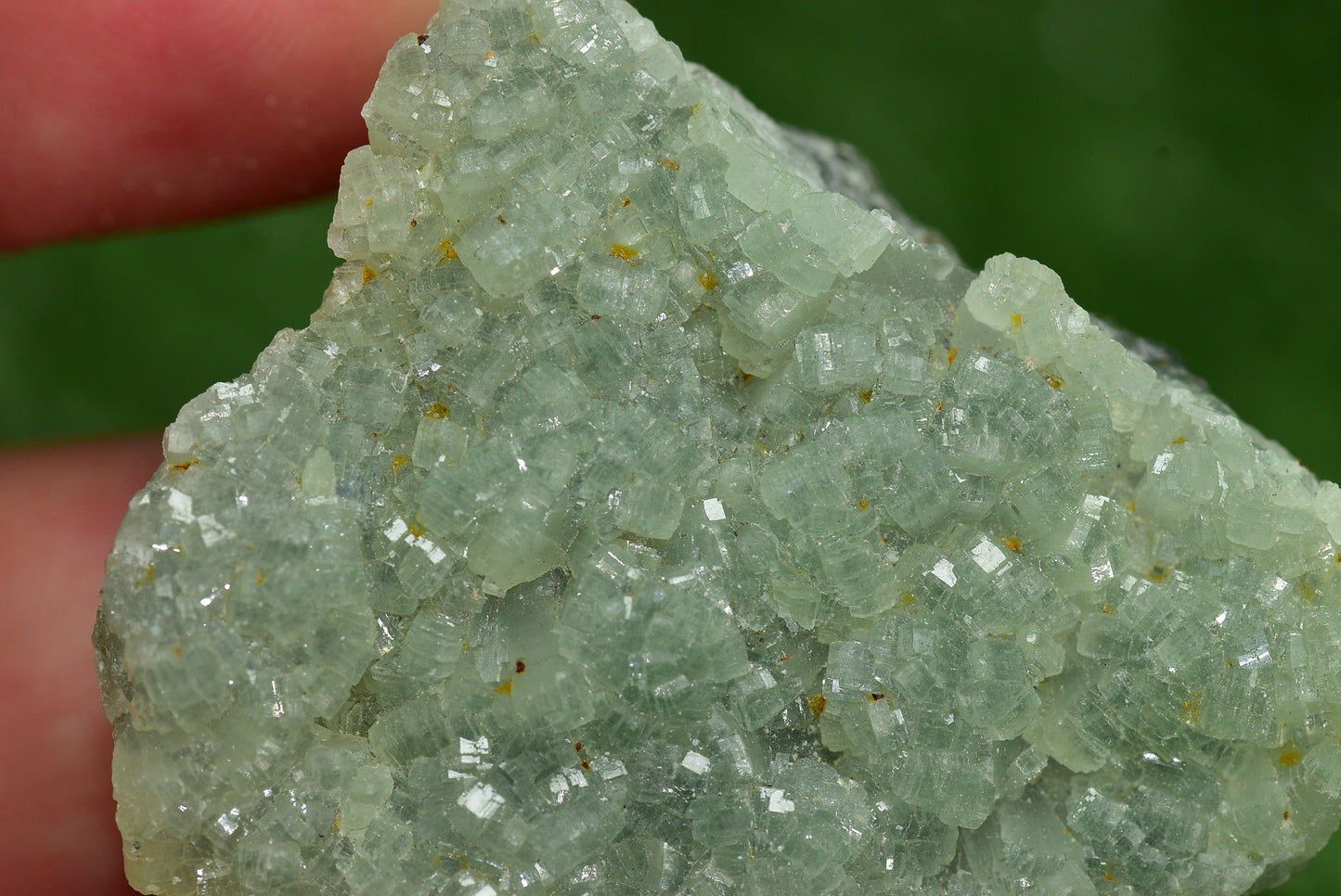 Stunning Raw Prehnite Crystal Cluster from Morocco Unique Botryoidal Formations - MeteoriteNwa.com