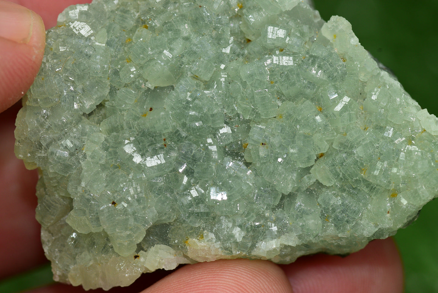 Stunning Raw Prehnite Crystal Cluster from Morocco Unique Botryoidal Formations - MeteoriteNwa.com