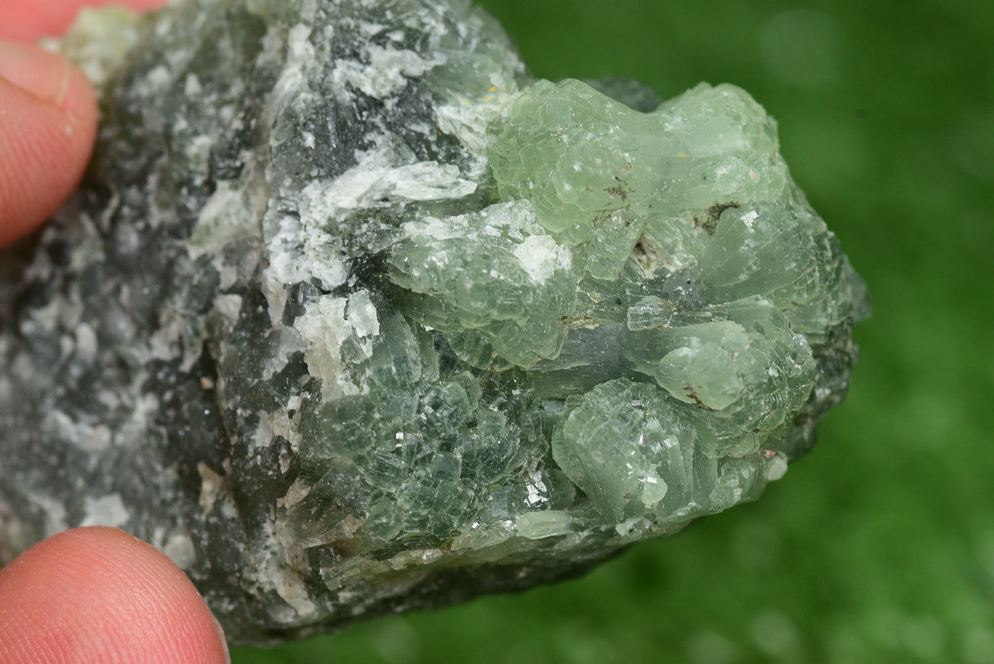 Stunning Raw Prehnite Crystal Cluster from Morocco Unique Botryoidal Formations - MeteoriteNwa.com