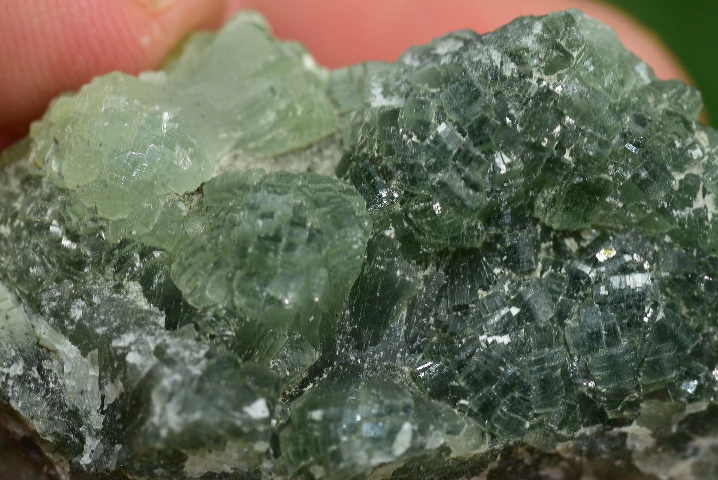 Stunning Raw Prehnite Crystal Cluster from Morocco Unique Botryoidal Formations - MeteoriteNwa.com