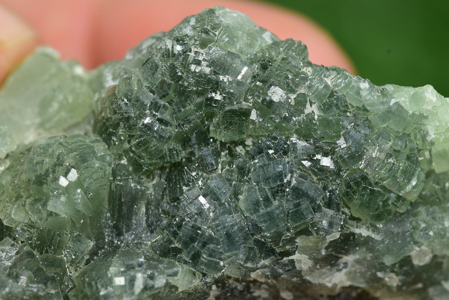 Stunning Raw Prehnite Crystal Cluster from Morocco Unique Botryoidal Formations - MeteoriteNwa.com