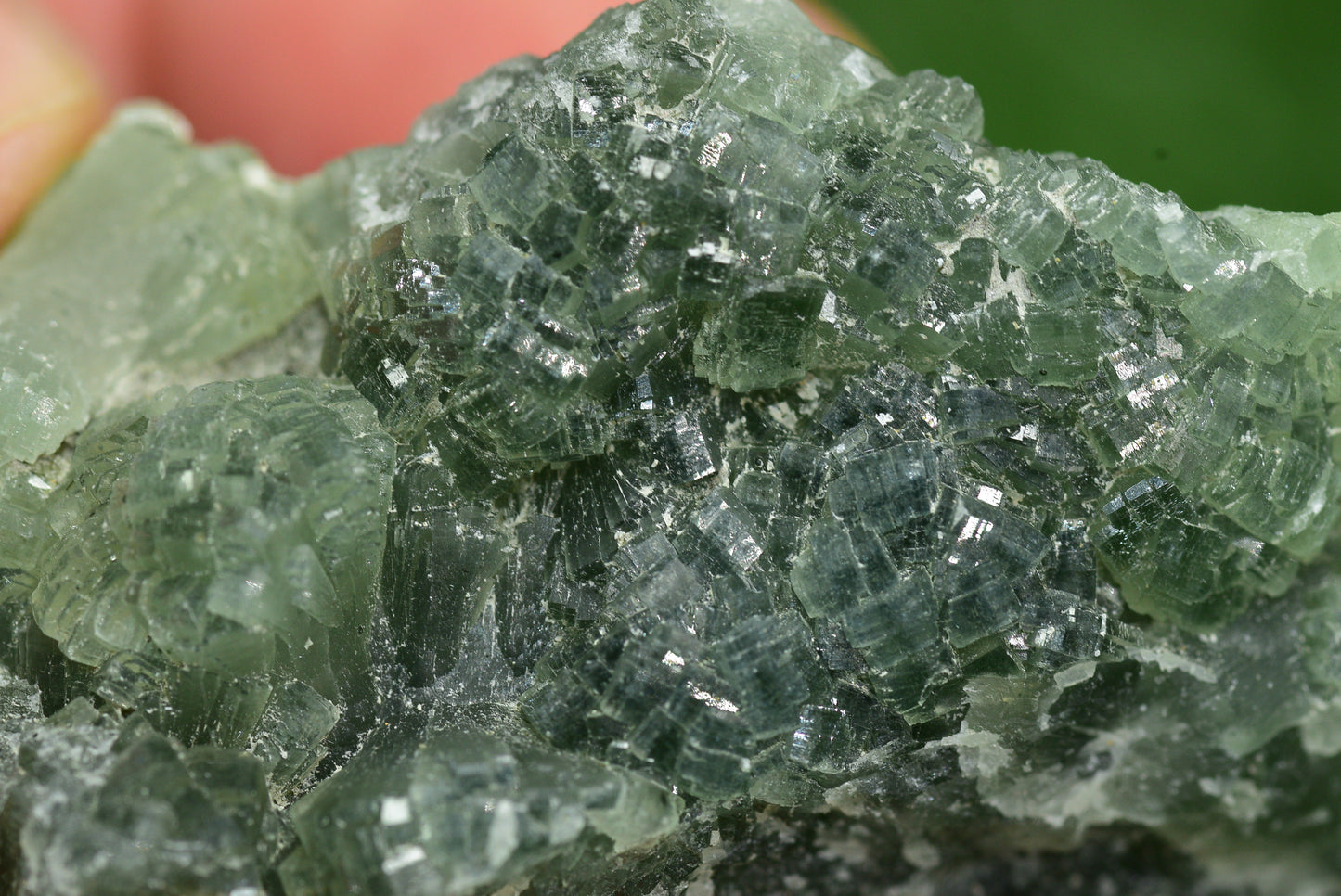 Stunning Raw Prehnite Crystal Cluster from Morocco Unique Botryoidal Formations - MeteoriteNwa.com
