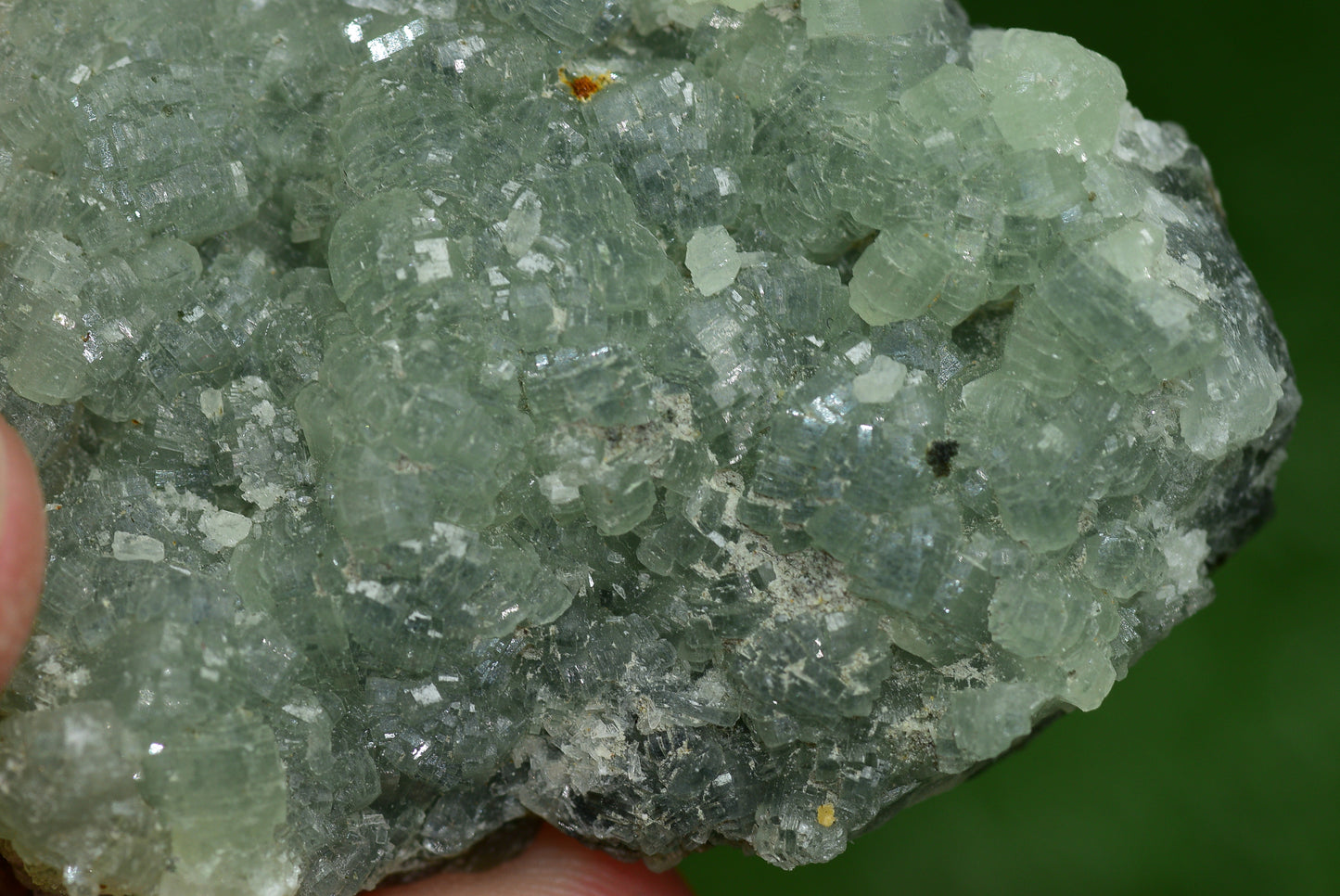 Stunning Raw Prehnite Crystal Cluster from Morocco Unique Botryoidal Formations - MeteoriteNwa.com