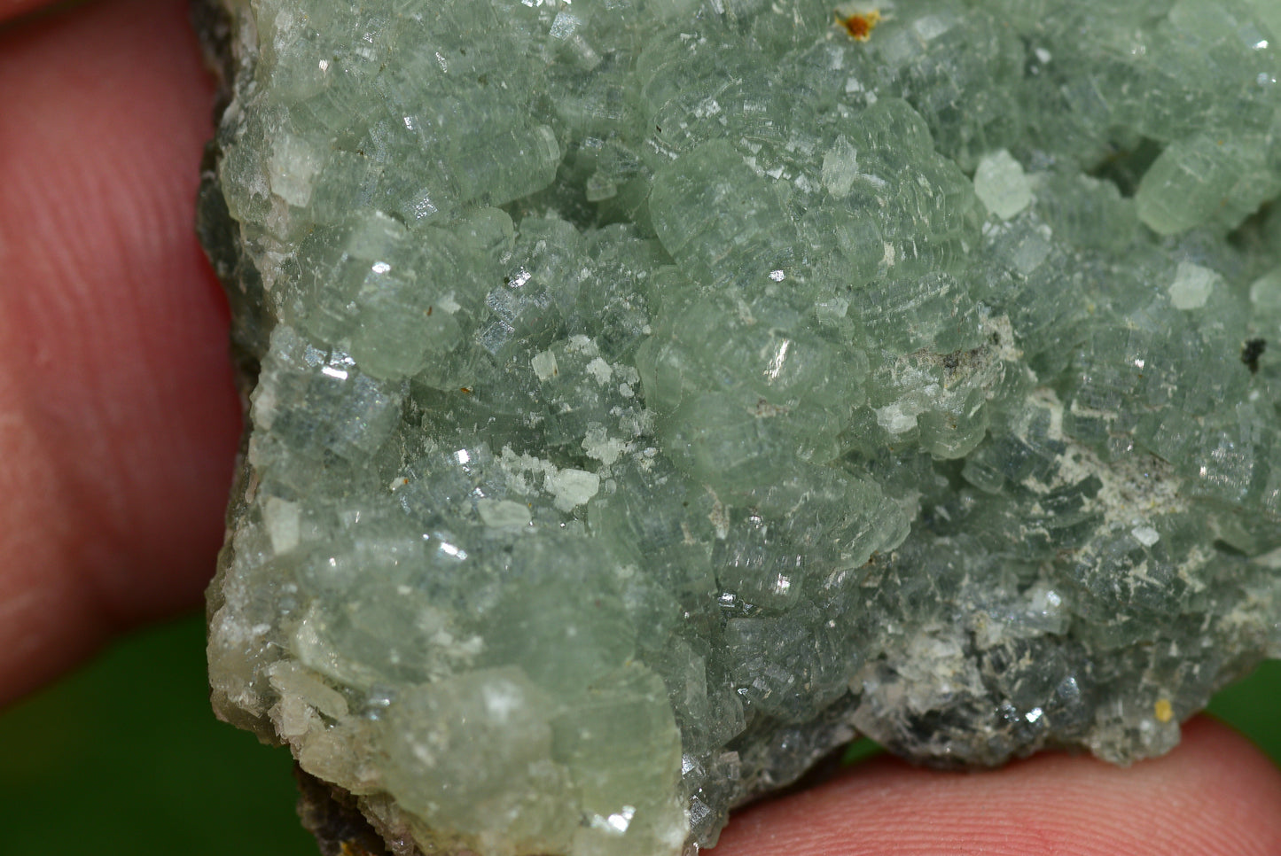 Stunning Raw Prehnite Crystal Cluster from Morocco Unique Botryoidal Formations - MeteoriteNwa.com