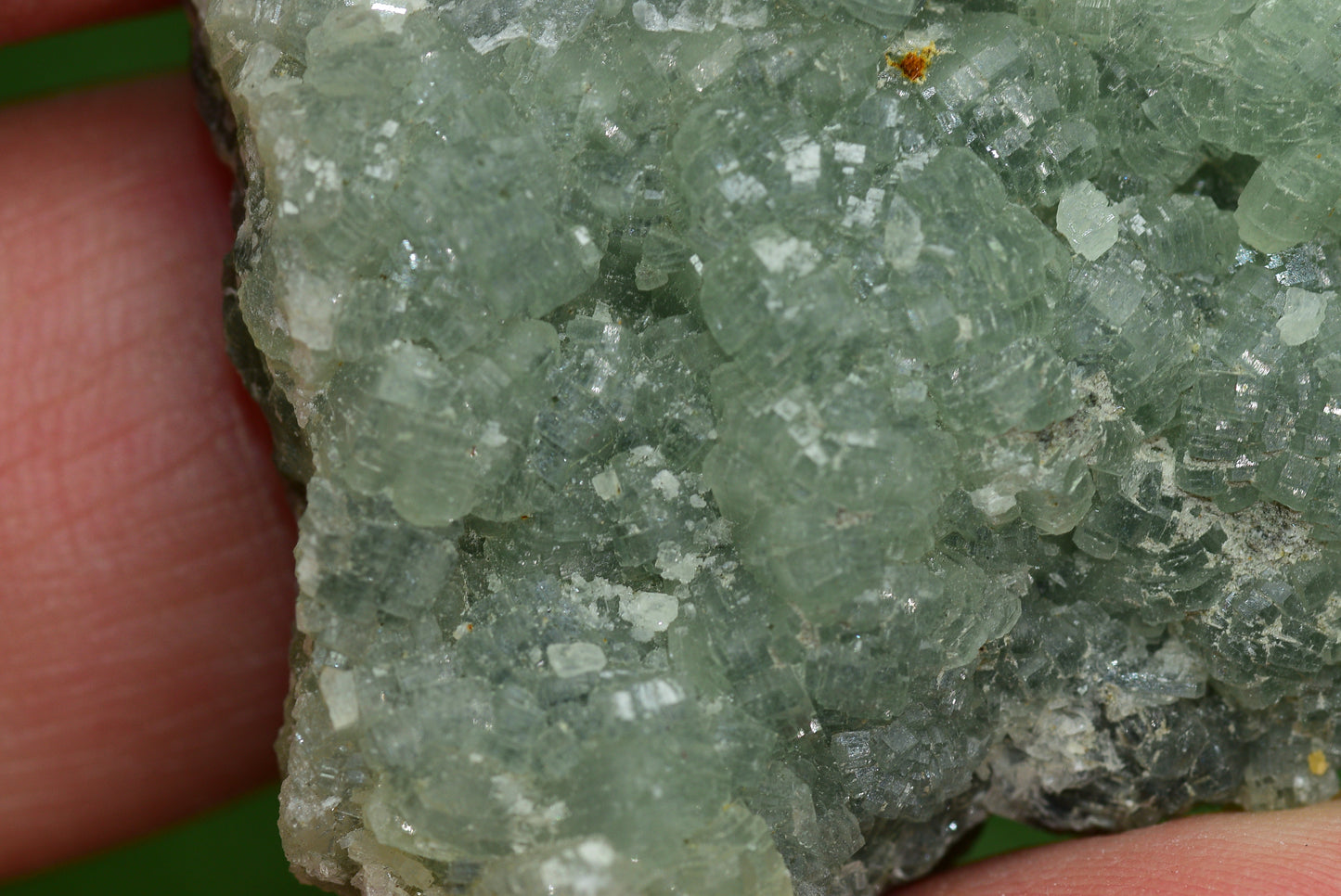 Stunning Raw Prehnite Crystal Cluster from Morocco Unique Botryoidal Formations - MeteoriteNwa.com