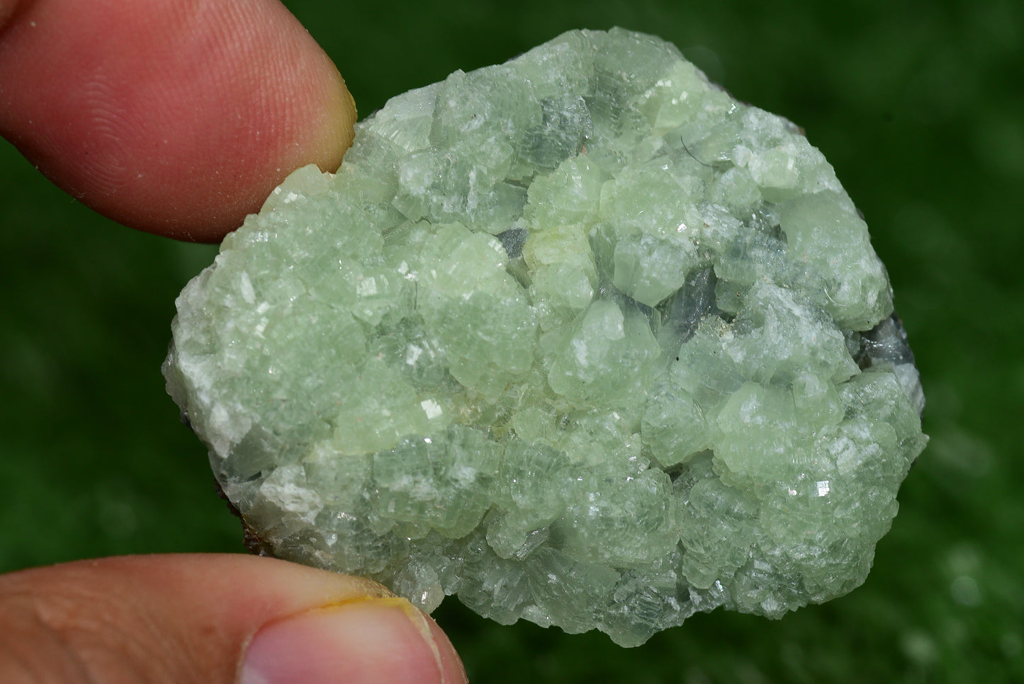 Stunning Raw Prehnite Crystal Cluster from Morocco Unique Botryoidal Formations - MeteoriteNwa.com