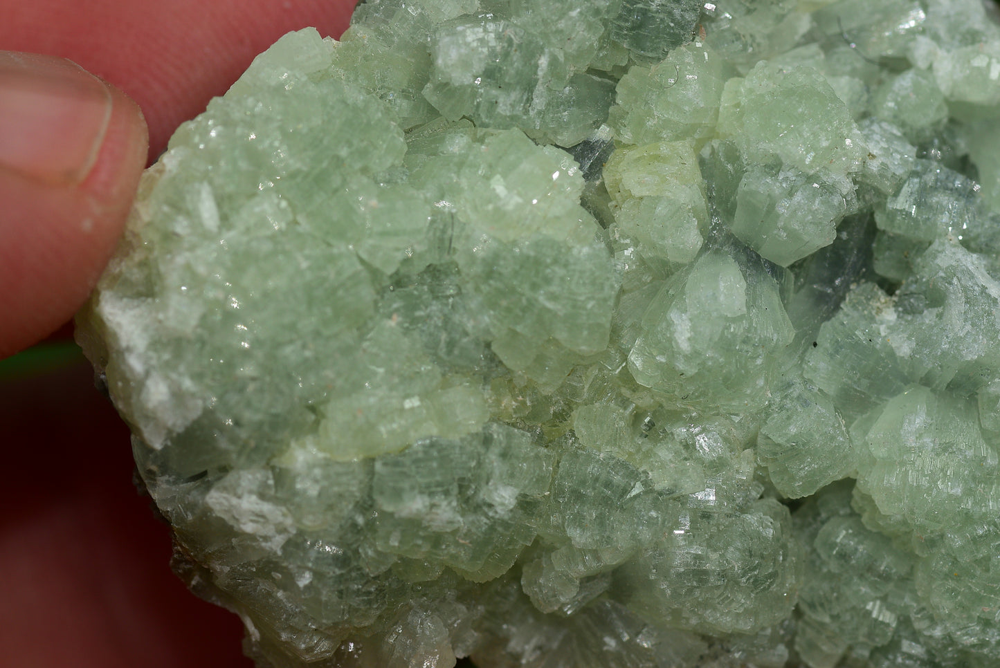 Stunning Raw Prehnite Crystal Cluster from Morocco Unique Botryoidal Formations - MeteoriteNwa.com