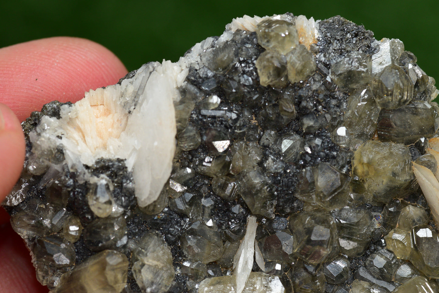 Cerussite with Barite & Dendrite Crystals on Galena RARE Genuine Gemstone from Morocco Fluorescent Mineral Powerful Spiritual Gem - MeteoriteNwa.com