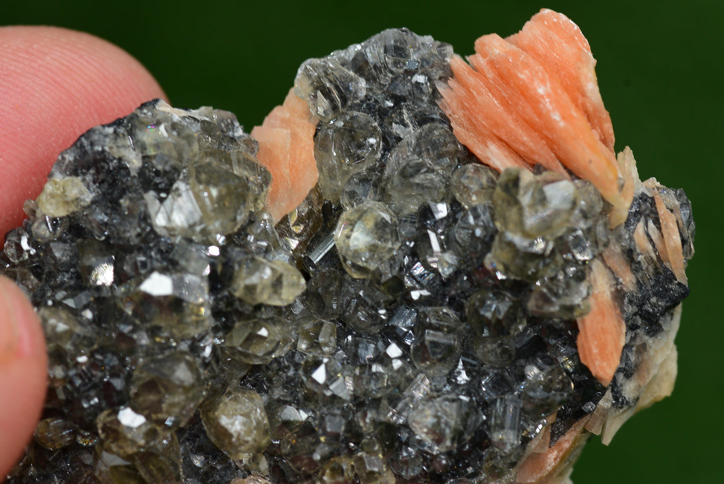 Cerussite with Barite & Dendrite Crystals on Galena RARE Genuine Gemstone from Morocco Fluorescent Mineral Powerful Spiritual Gem - MeteoriteNwa.com