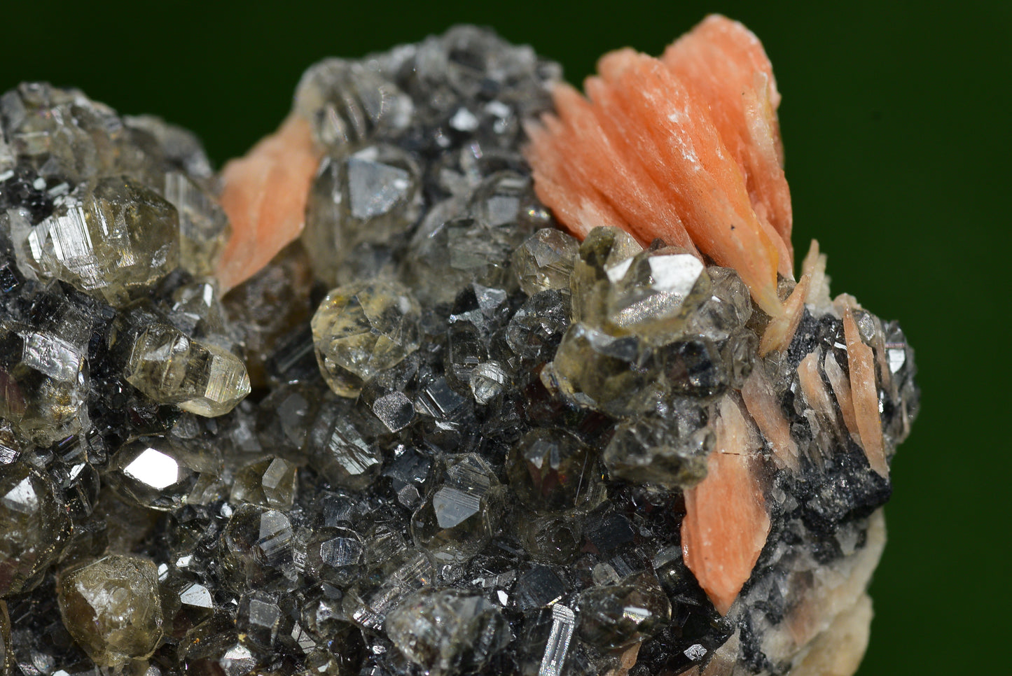 Cerussite with Barite & Dendrite Crystals on Galena RARE Genuine Gemstone from Morocco Fluorescent Mineral Powerful Spiritual Gem - MeteoriteNwa.com