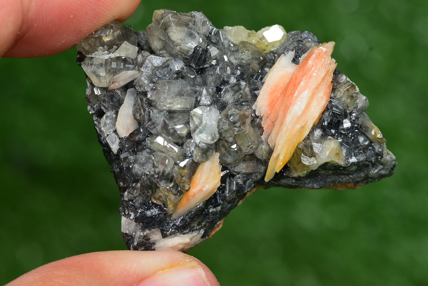 Cerussite with Barite & Dendrite Crystals on Galena RARE Genuine Gemstone from Morocco Fluorescent Mineral Powerful Spiritual Gem - MeteoriteNwa.com