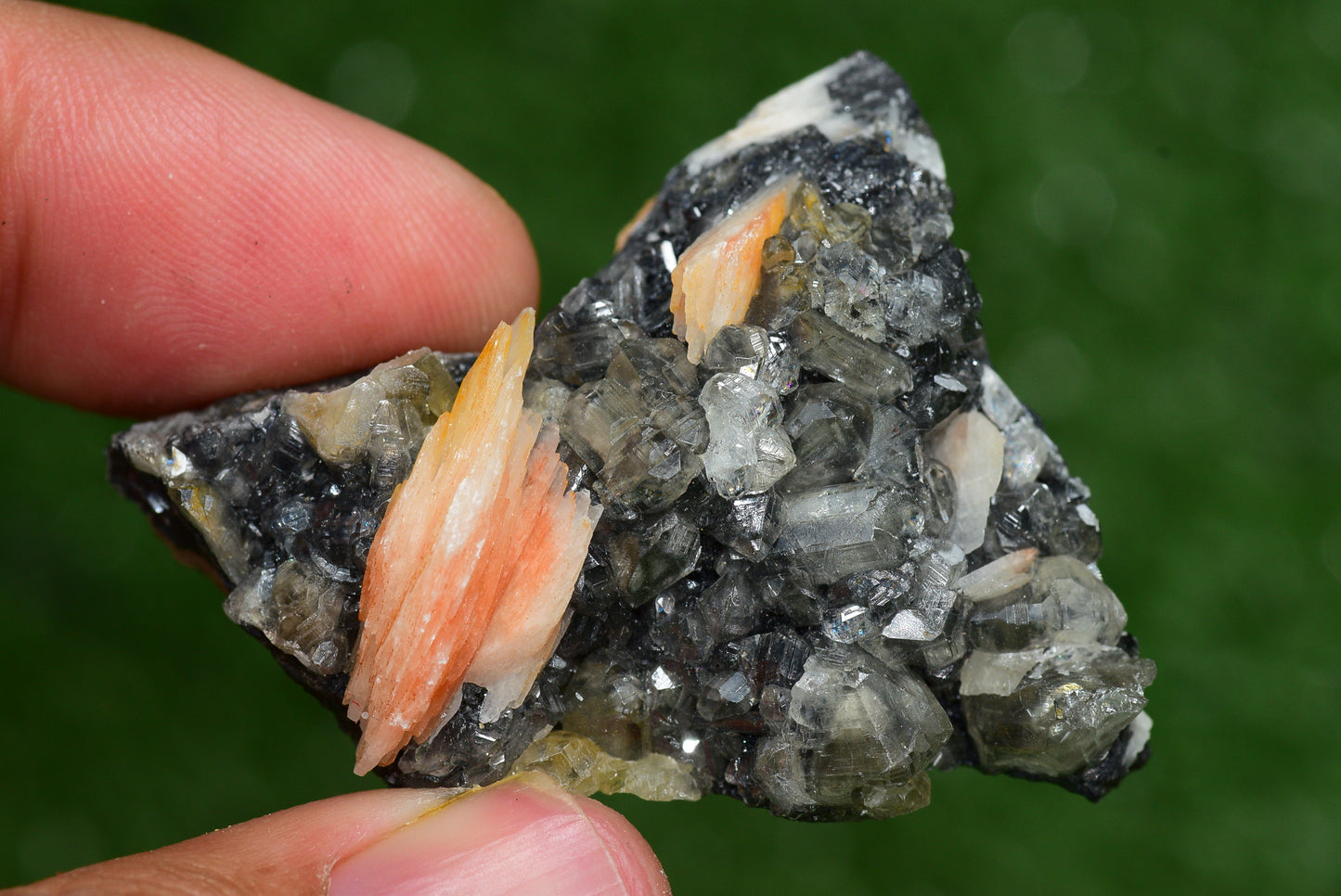 Cerussite with Barite & Dendrite Crystals on Galena RARE Genuine Gemstone from Morocco Fluorescent Mineral Powerful Spiritual Gem - MeteoriteNwa.com