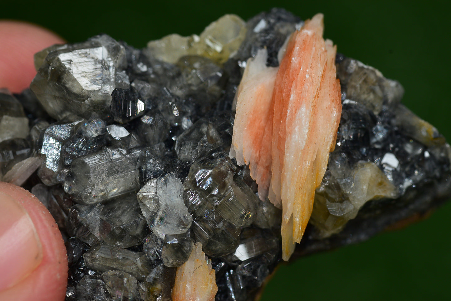 Cerussite with Barite & Dendrite Crystals on Galena RARE Genuine Gemstone from Morocco Fluorescent Mineral Powerful Spiritual Gem - MeteoriteNwa.com